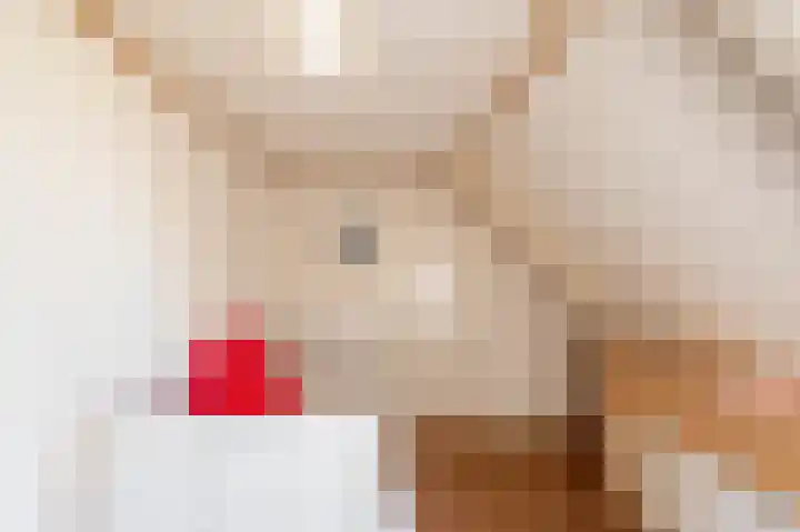 Westerweg 1 Eenrum thumbnail 34