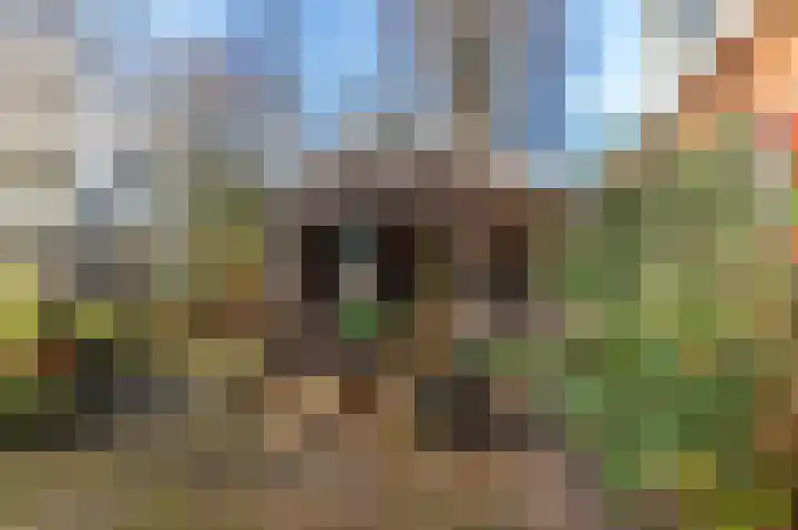 Westerweg 1 Eenrum thumbnail 44