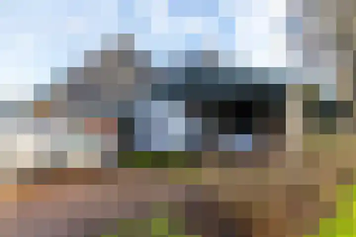 Westerweg 1 Eenrum thumbnail 49