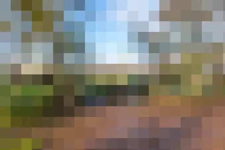 Westerweg 1 Eenrum thumbnail 53