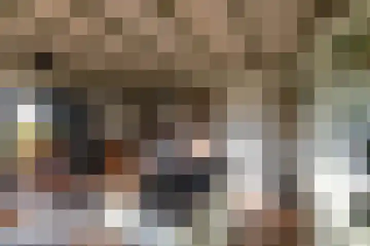Westerweg 1 Eenrum thumbnail 58