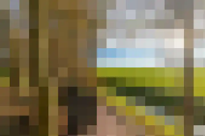 Westerweg 1 Eenrum thumbnail 63