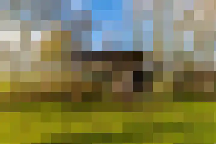 Westerweg 1 Eenrum thumbnail 65