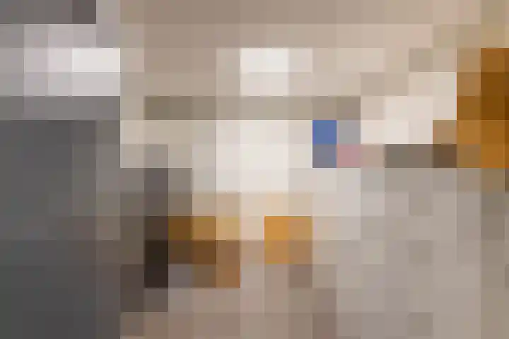 Westerweg 1 Eenrum thumbnail 79
