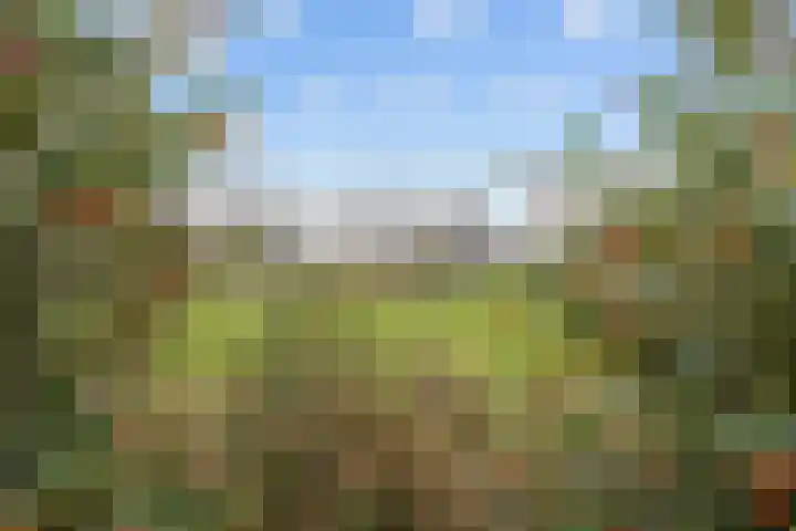 Westerweg 20 Noordwijk thumbnail 32