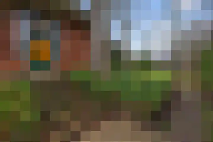 Westerweg 269 Heiloo thumbnail 4