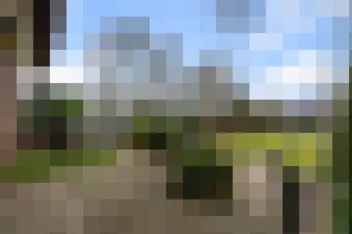 Westerweg 269 Heiloo thumbnail 42