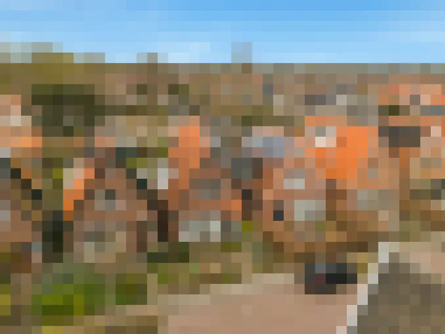Westerweg 317 Heiloo thumbnail 5