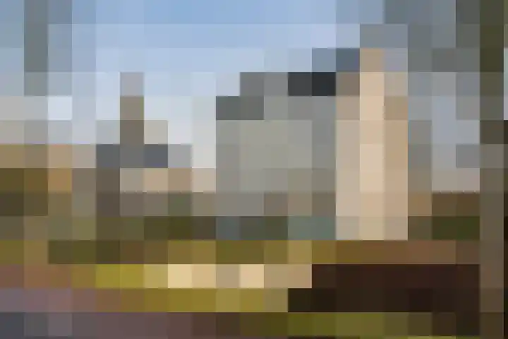 Westerweg 48 Purmerend thumbnail 5