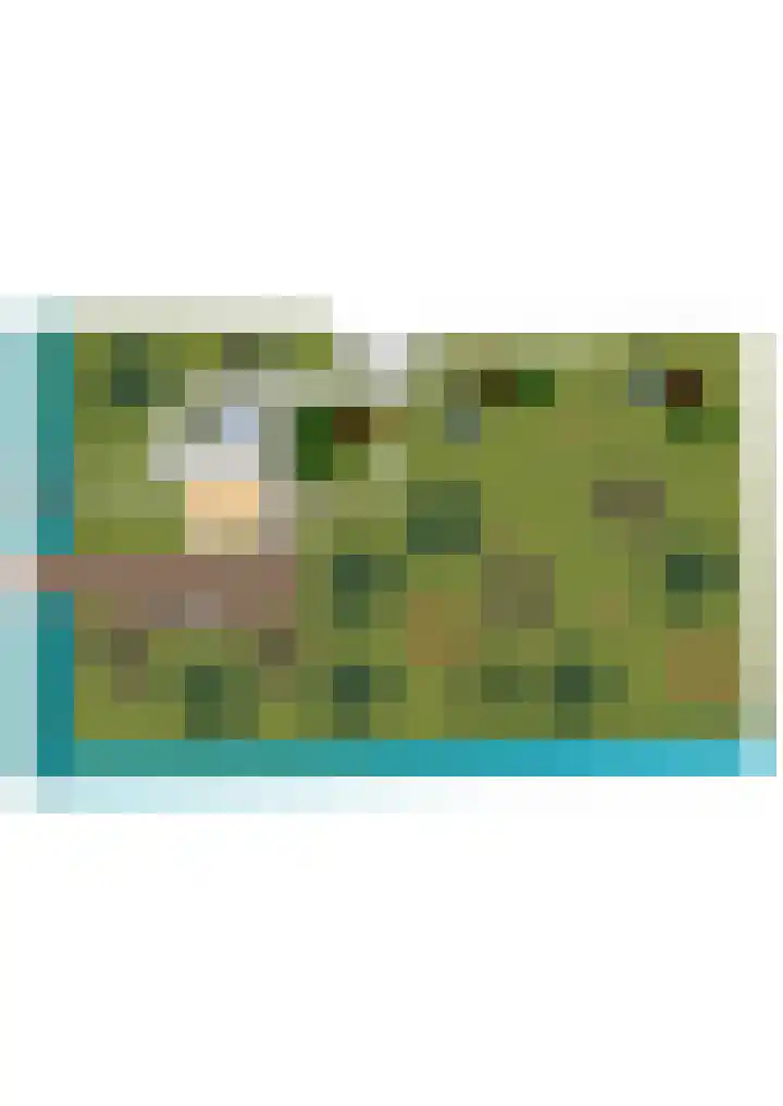 Westerweg 48 Purmerend thumbnail 56