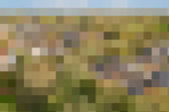 Westerweg 55 K Purmerend thumbnail 37