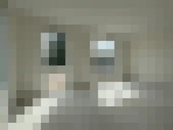 Westerweg 7 c Beerzerveld thumbnail 15