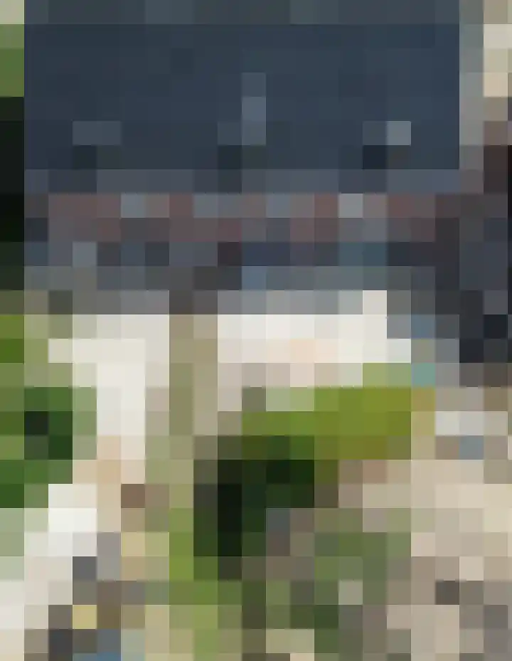 Westerweg 7 c Beerzerveld thumbnail 6