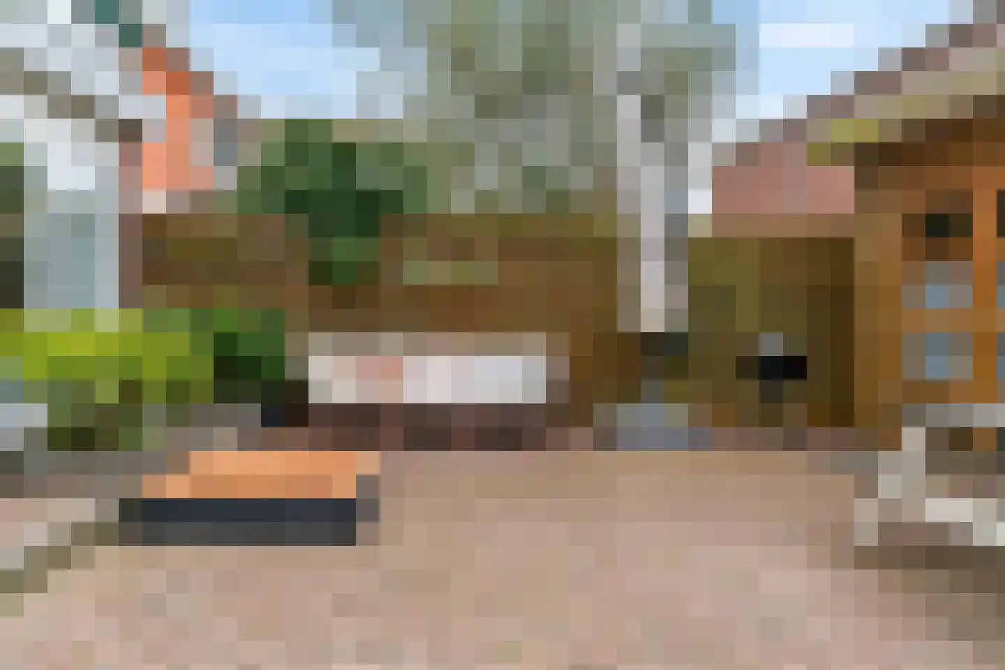 Westerweg 7 Limmen thumbnail 36