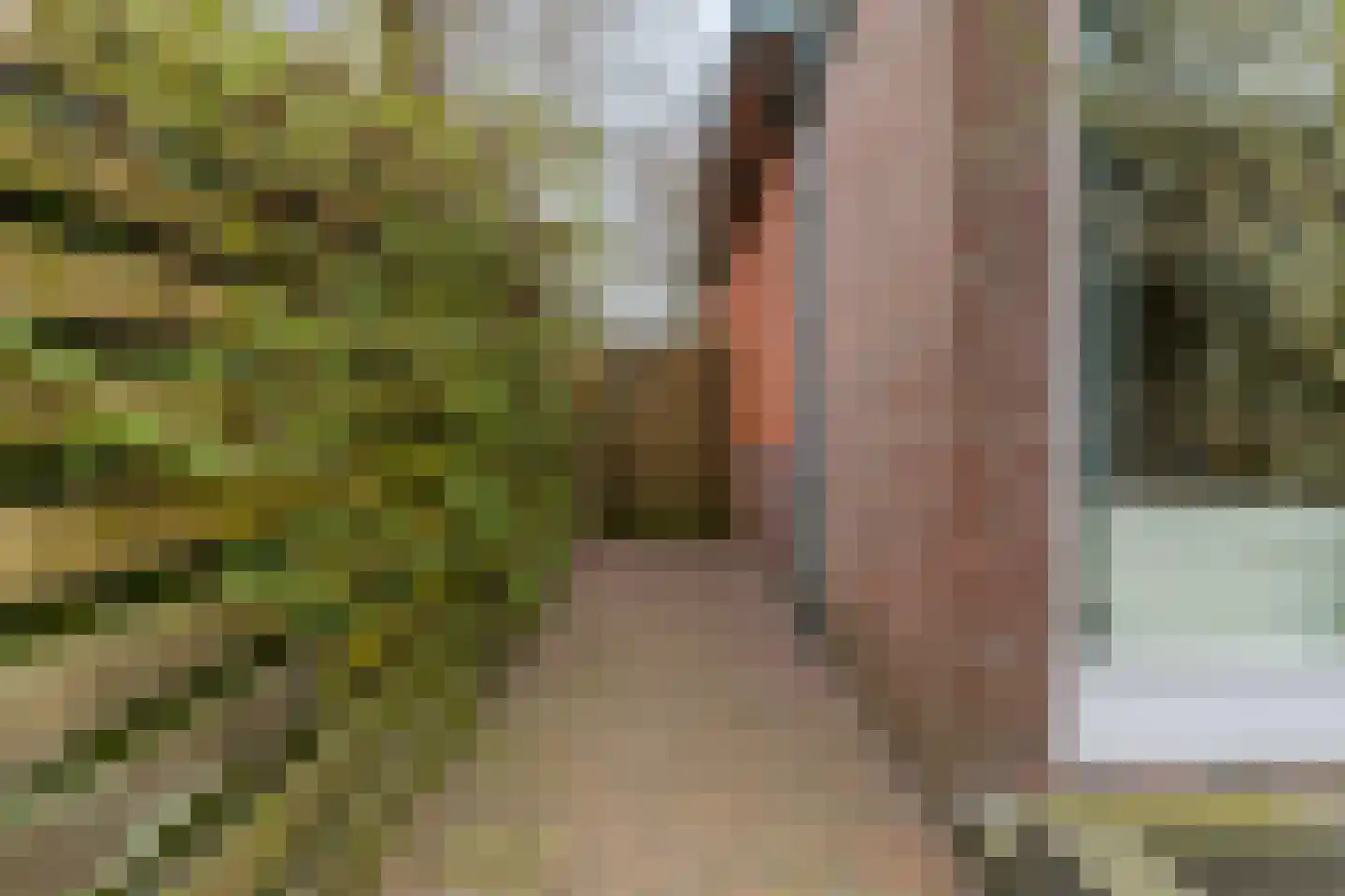 Westerweg 7 Limmen thumbnail 37