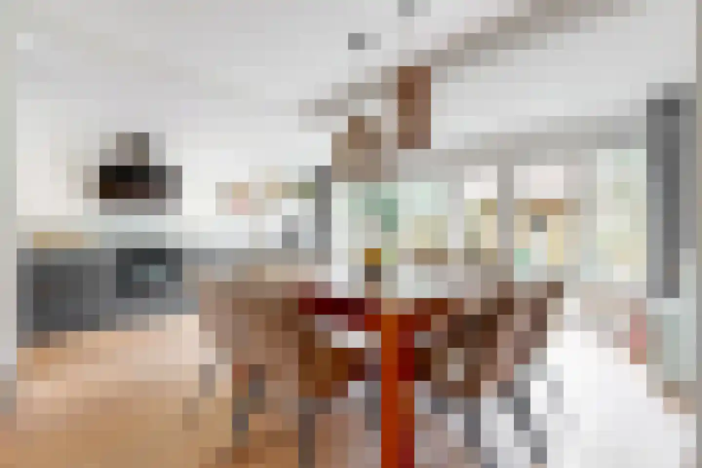 Westerweg 7 Limmen thumbnail 6