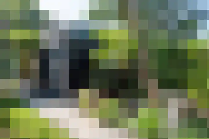 Westerweg 93 Heiloo thumbnail 36