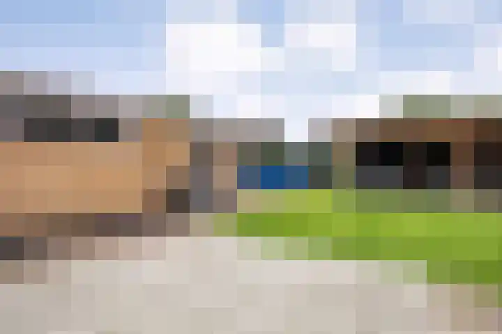 Westerwijk 70 Dalen thumbnail 36