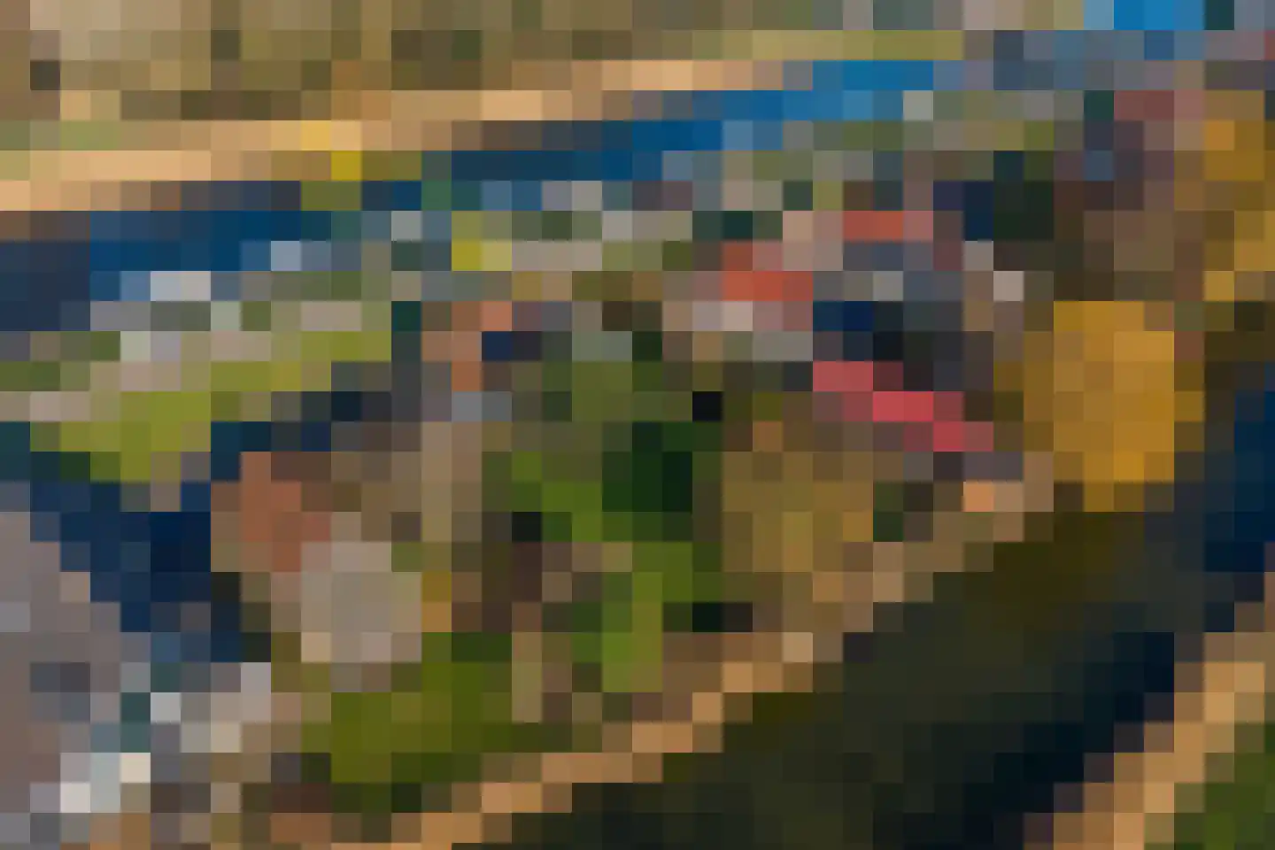 Westfriesedijk 30 Kolhorn thumbnail 62