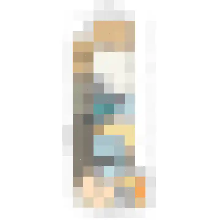 Westgaag 96 Maasland thumbnail 101