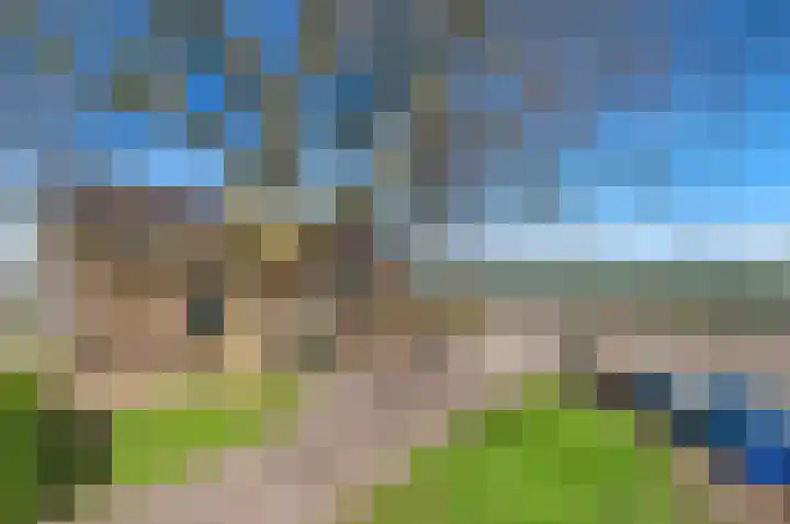 Westgaag 96 Maasland thumbnail 11