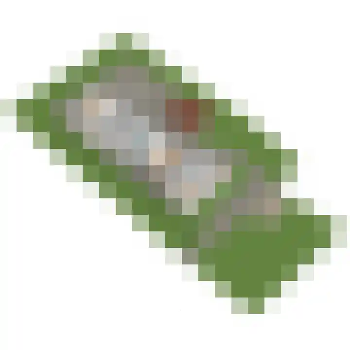 Westgaag 96 Maasland thumbnail 127