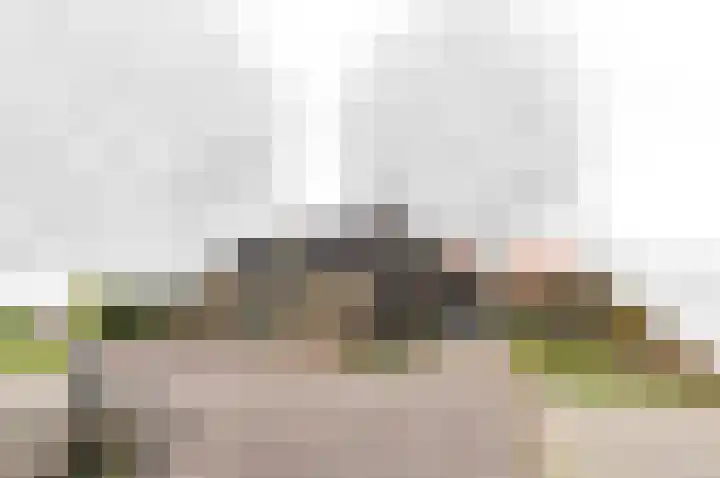 Westgaag 96 Maasland thumbnail 6