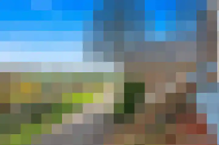 Westgaag 96 Maasland thumbnail 95
