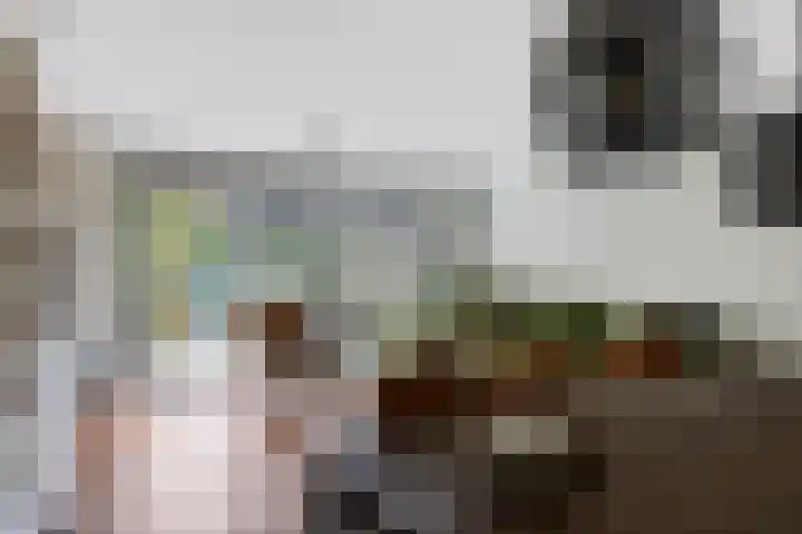 Westhaag 13 Oss thumbnail 11