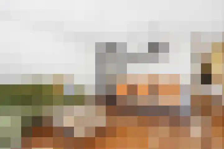 Westhaag 13 Oss thumbnail 12