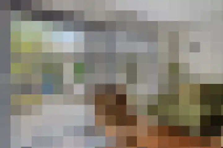 Westhaag 13 Oss thumbnail 13