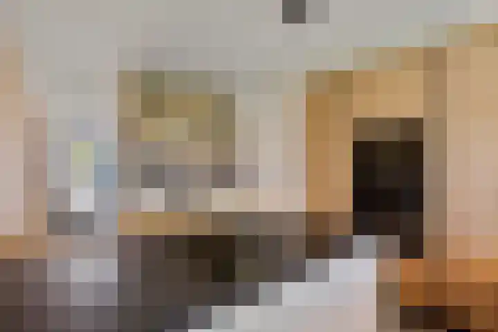 Westhaag 13 Oss thumbnail 15