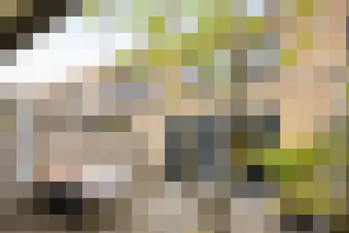 Westhaag 13 Oss thumbnail 4