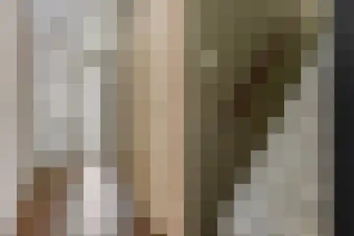 Westhaag 13 Oss thumbnail 9