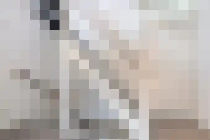 Westhaag 46 Oss thumbnail 14