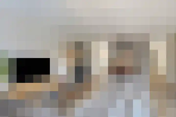 Westhaag 46 Oss foto 2