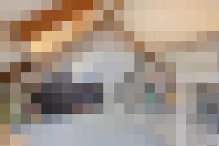 Westhaag 46 Oss thumbnail 21
