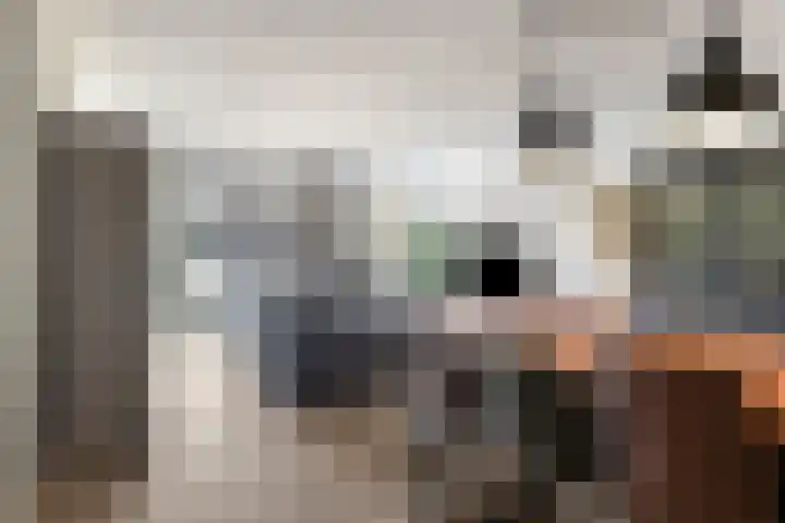 Westhaag 46 Oss thumbnail 5