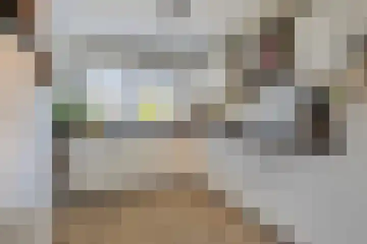 Westhaag 46 Oss thumbnail 6