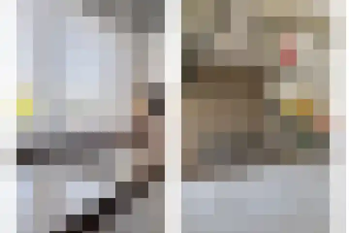 Westhaag 46 Oss thumbnail 7