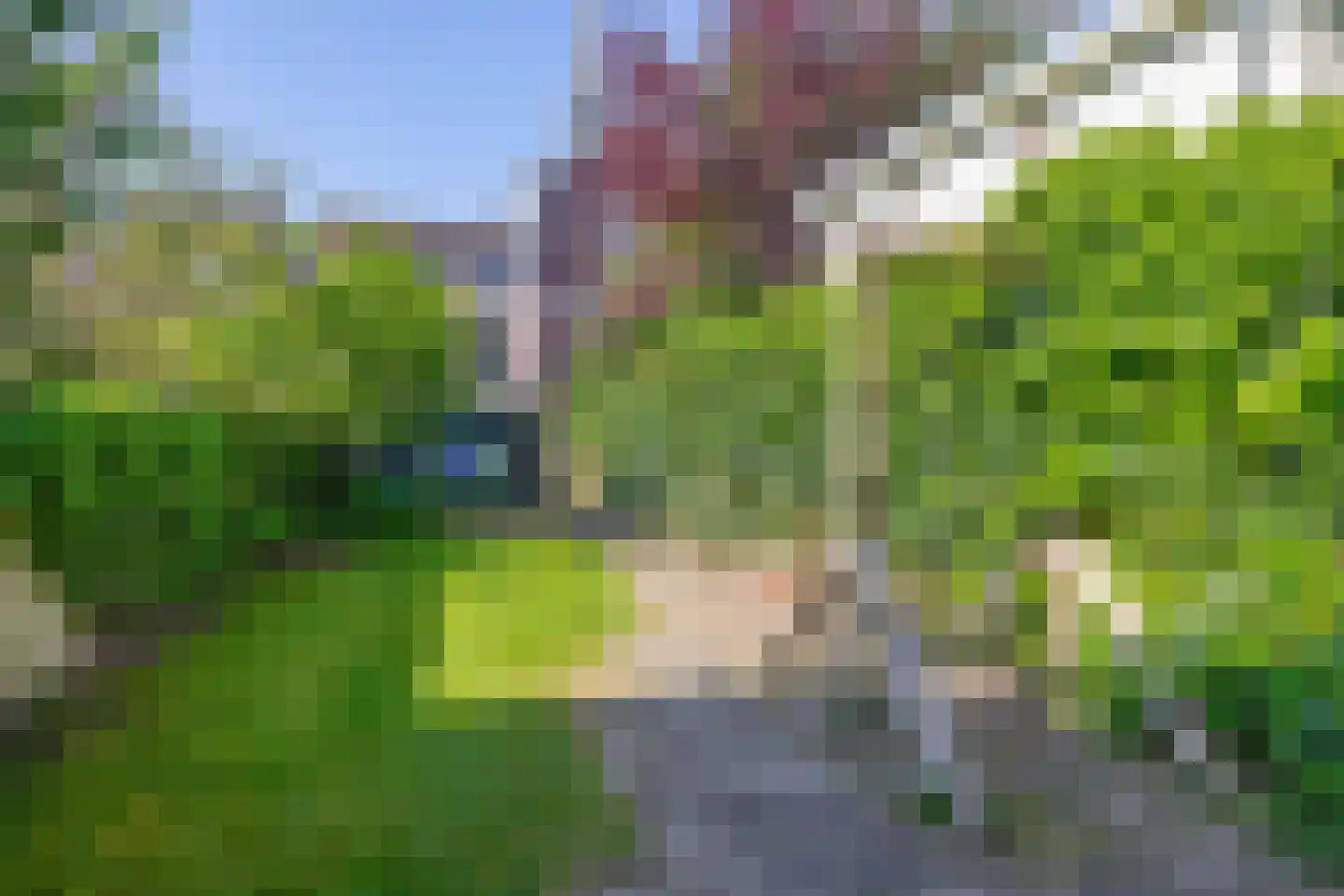 Westhaven 13 Gouda thumbnail 18