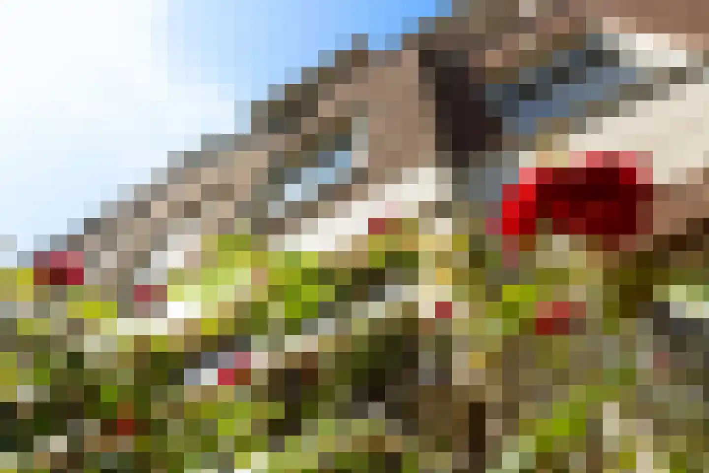 Westhaven 32 Gouda thumbnail 33