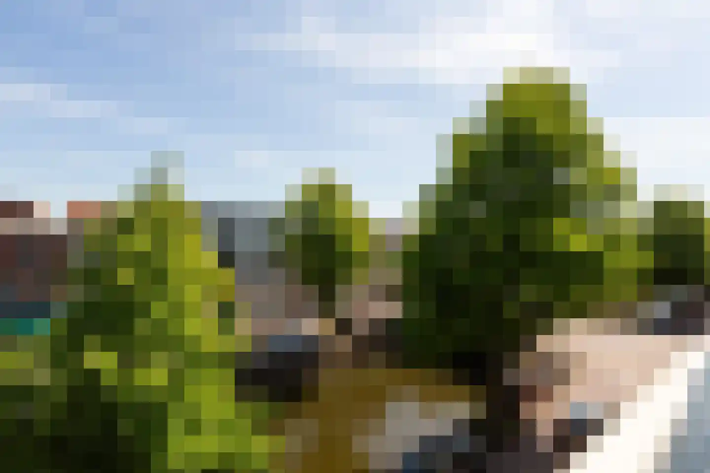 Westhaven 32 Gouda thumbnail 36