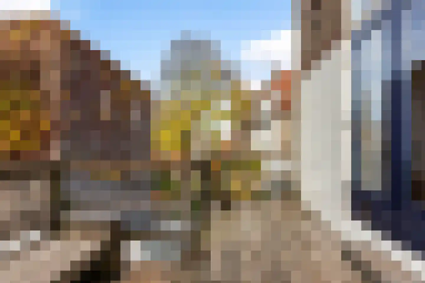 Westhaven 59 Gouda thumbnail 5