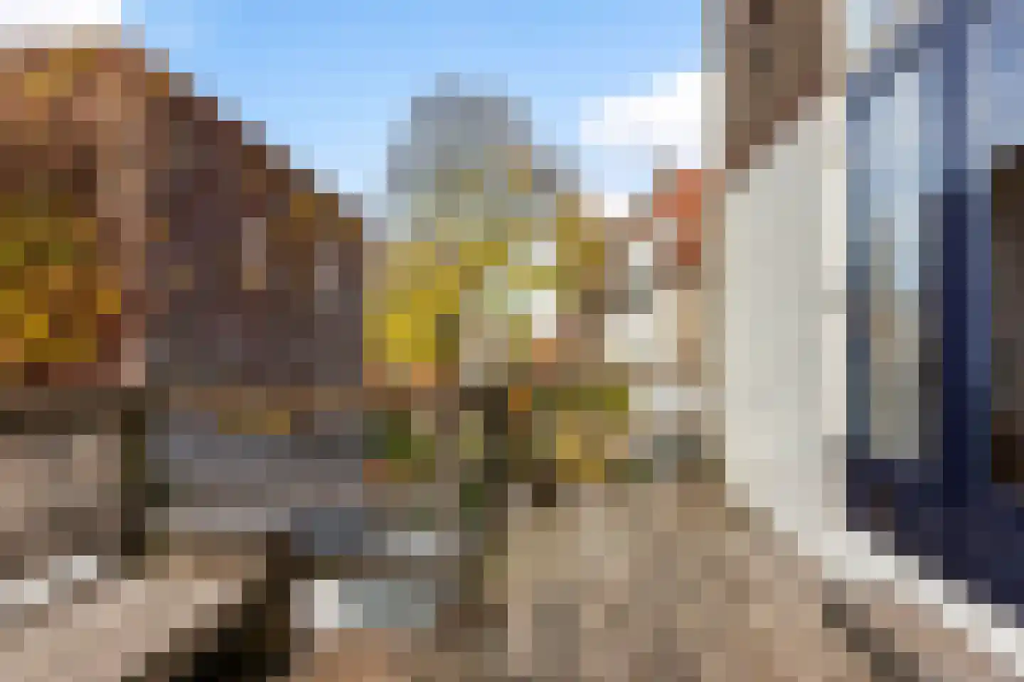 Westhaven 59 Gouda thumbnail 55