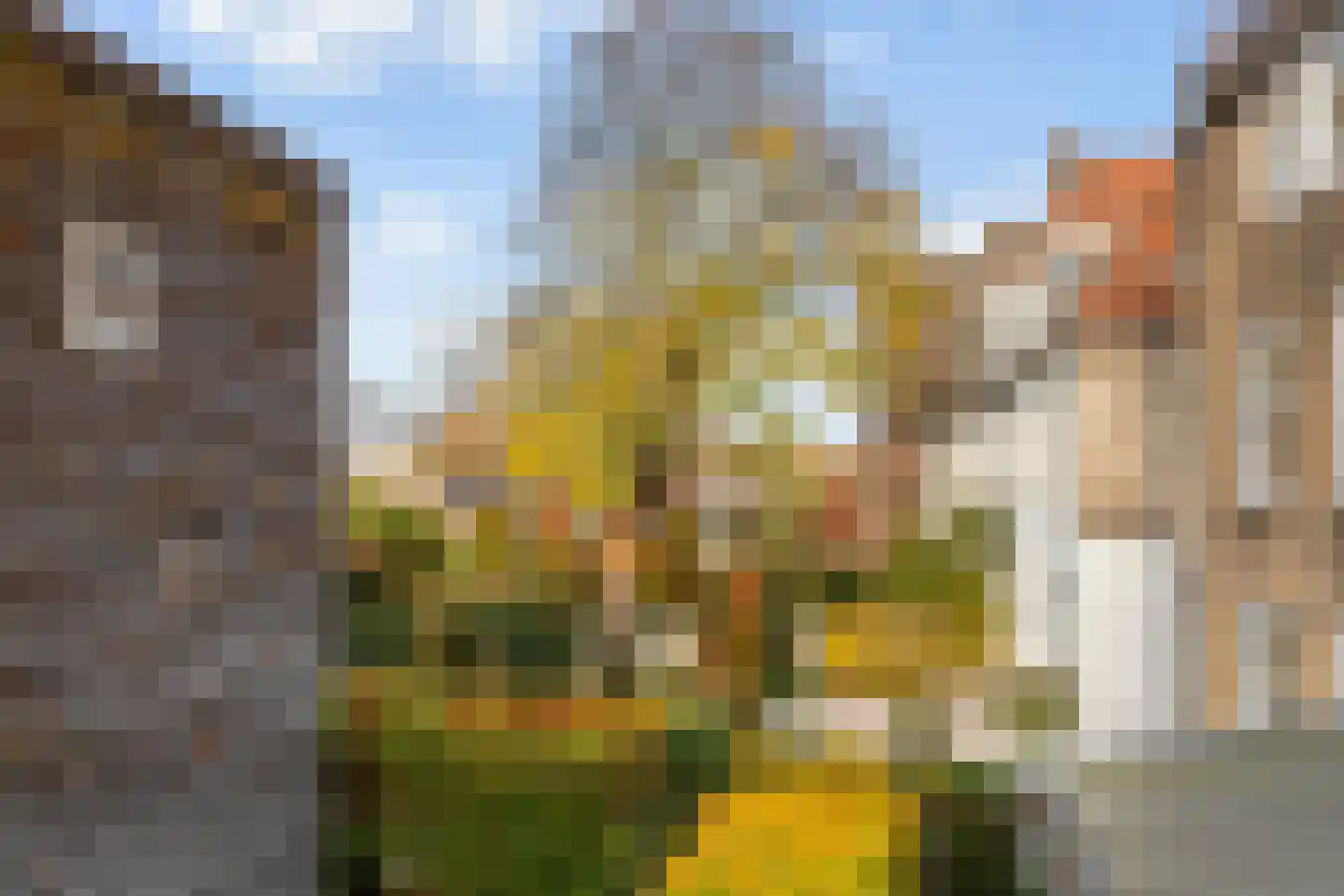 Westhaven 59 Gouda thumbnail 57