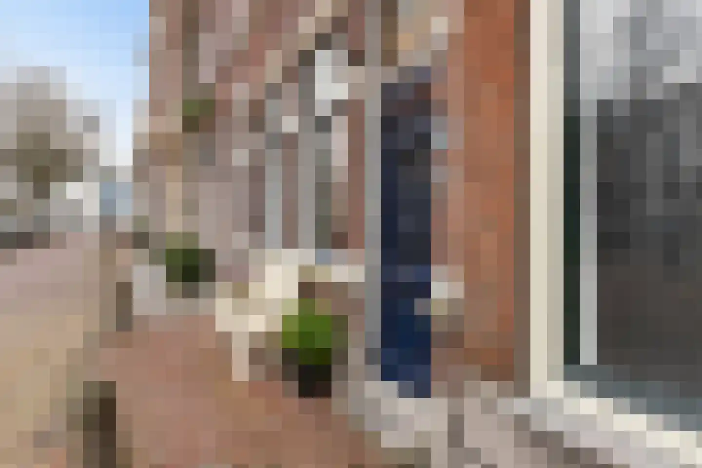 Westhaven 59 Gouda thumbnail 6