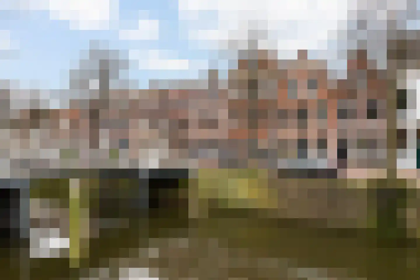 Westhaven 59 Gouda thumbnail 65