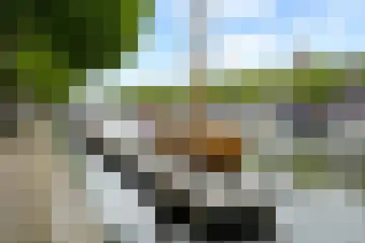 Westhavenkade 46 B Vlaardingen thumbnail 31