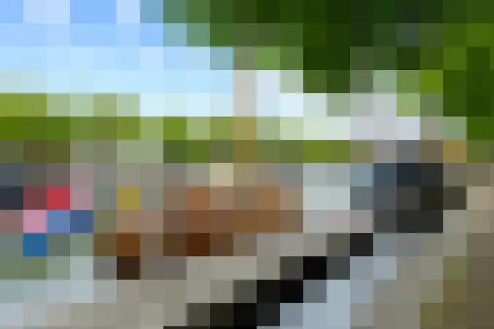 Westhavenkade 46 B Vlaardingen thumbnail 8